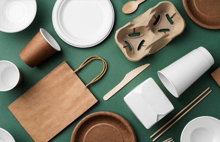 সালাদ পেপার বোল: প্রকার, ব্যবহার এবং কম্পোস্টের নির্দেশিকা