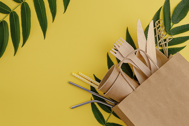 ডিসপোজেবল টেবিলওয়্যার পরিবেশ দূষিত করবে?